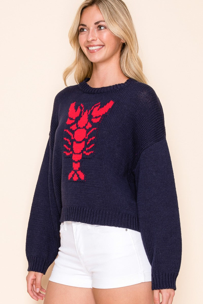 Lobster Beach Sweater - Navy