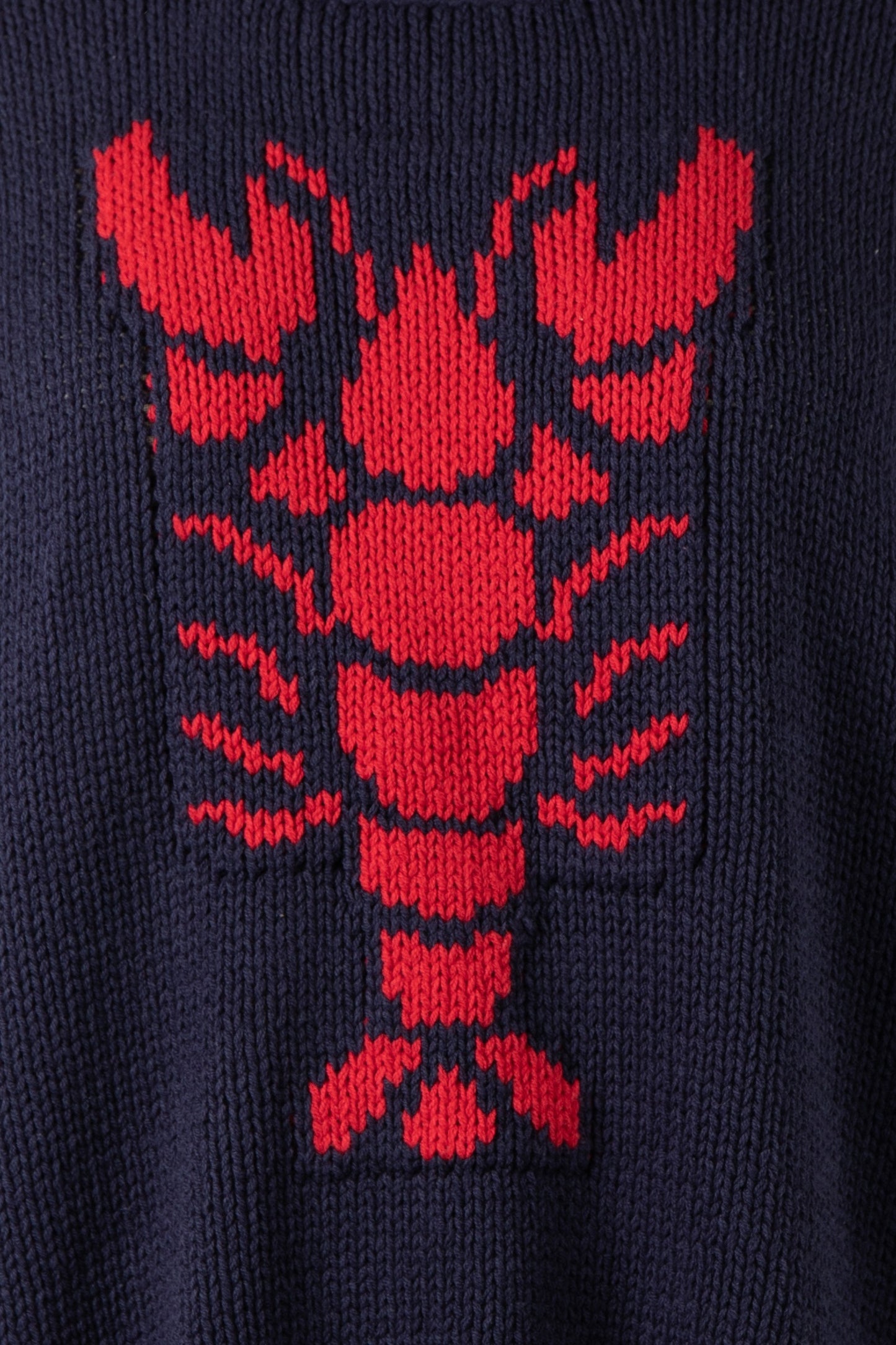 Lobster Beach Sweater - Navy