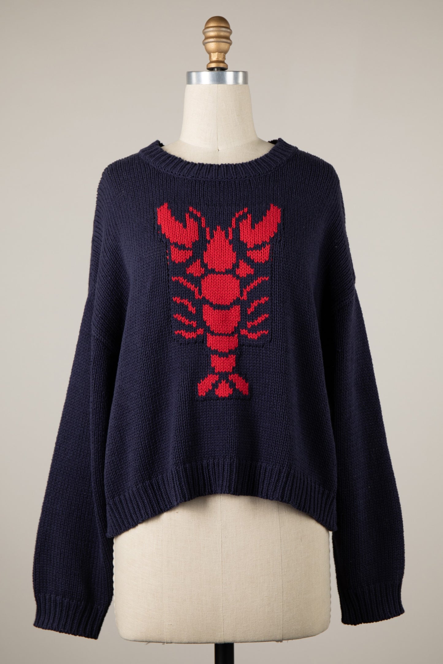 Lobster Beach Sweater - Navy