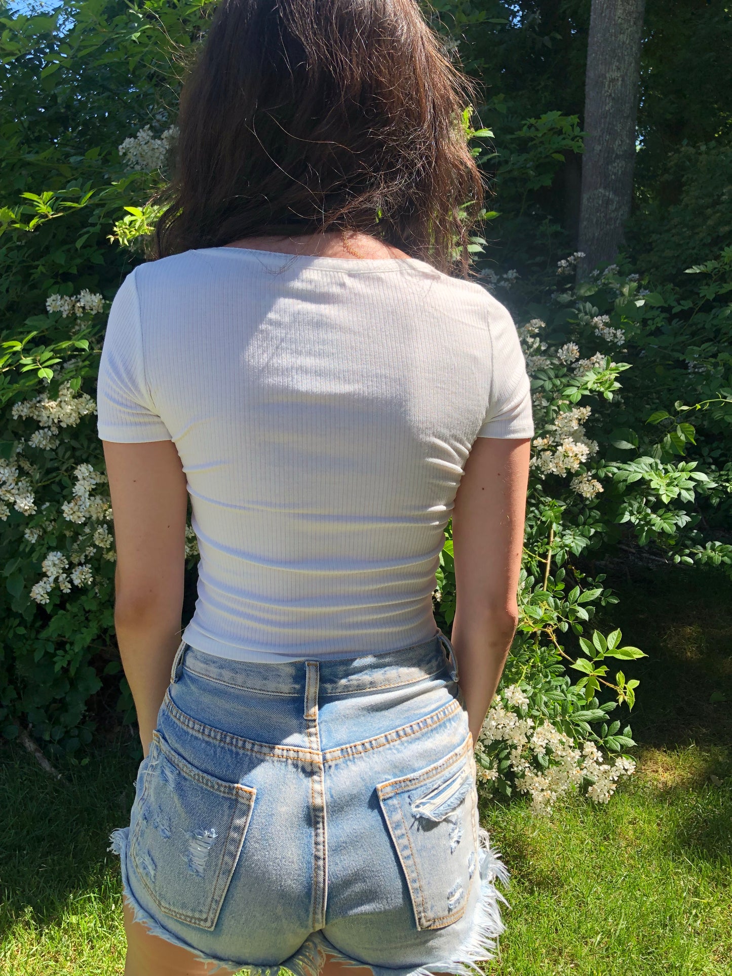 Willow Short Sleeve Top