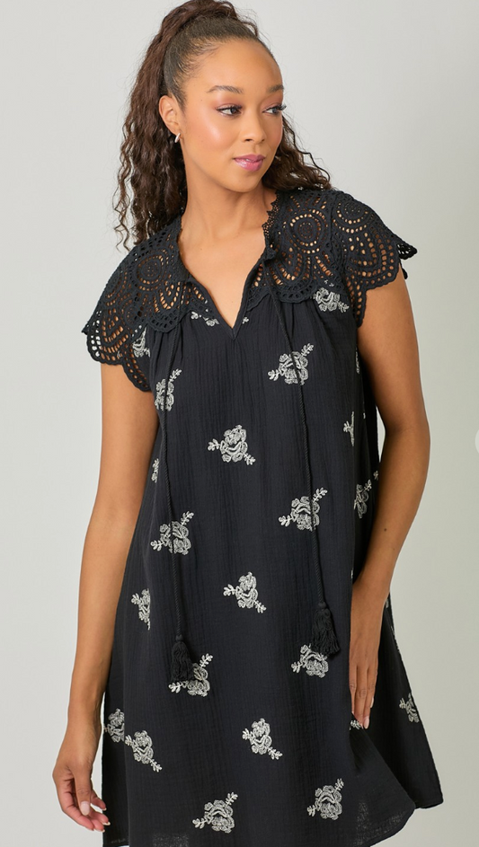 Eyelet Sleeve Embroidered Dress