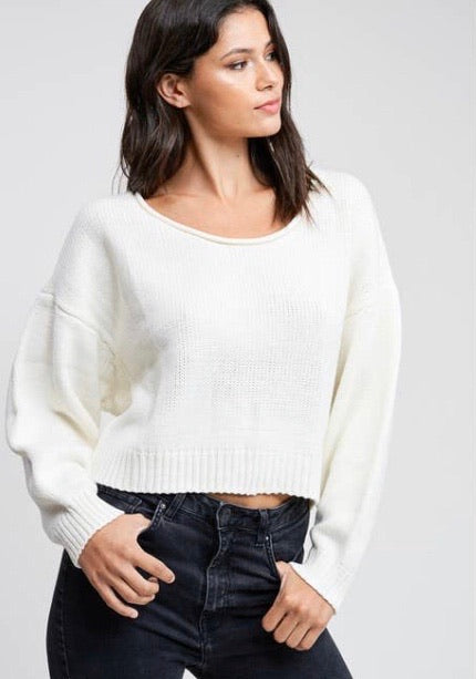 Long Sleeve Cropped V - Neck Sweater
